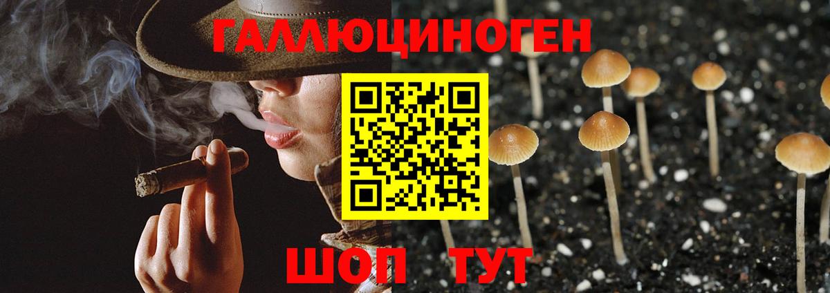 Галлюциногенные грибы ЛСД Сызрань